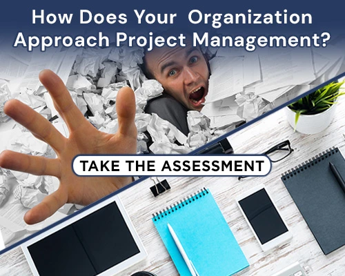 Project Management Assessment Course Thumbnail Line